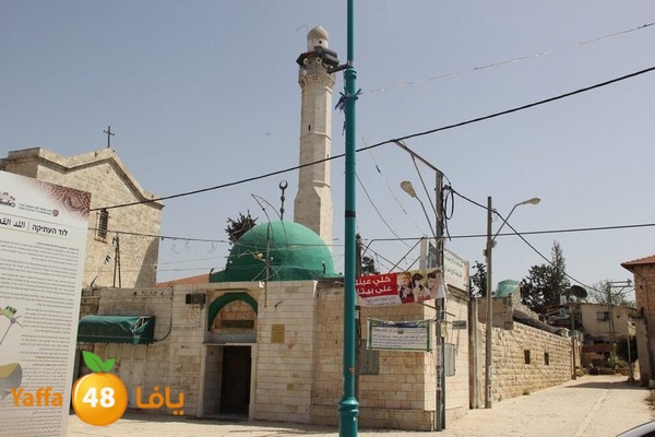 amir nafar 0420 (29).JPG